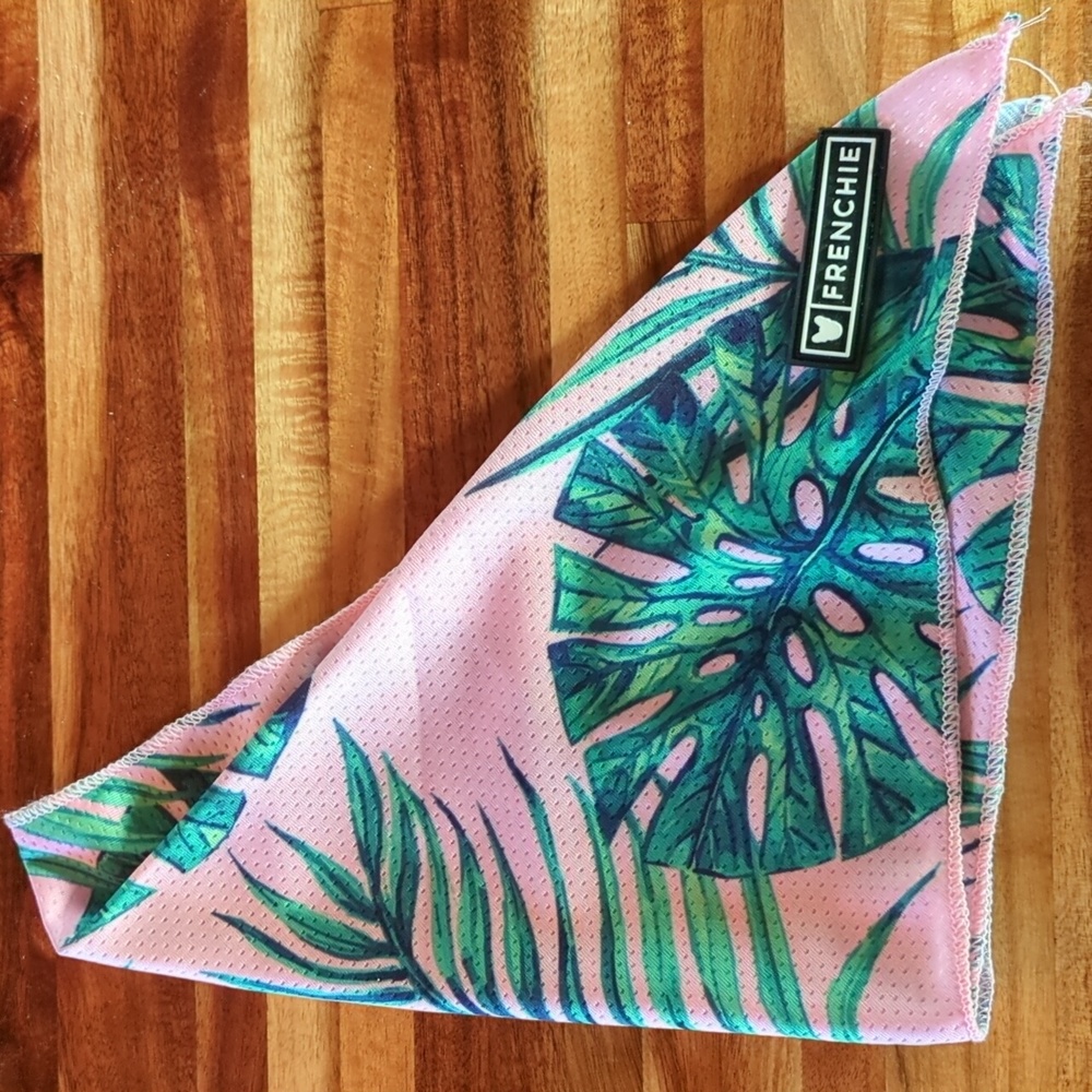Frenchie Bulldog Cooling Bandana (New)